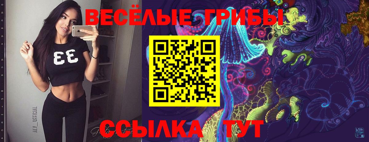 Галлюциногенные грибы Psilocybine cubensis Ялта