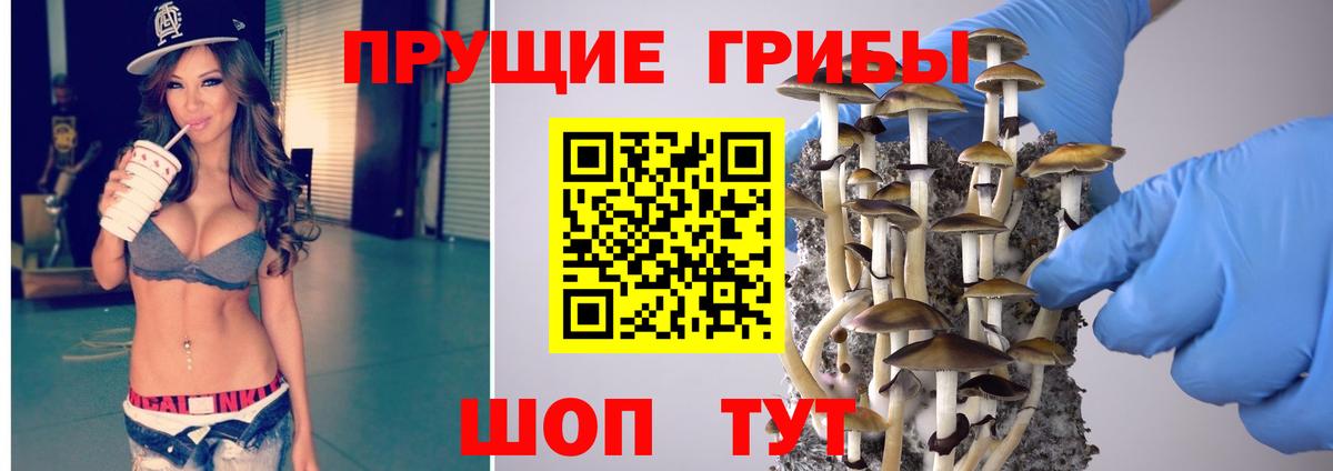Псилоцибиновые грибы Psilocybe  Вход с VPN  Ялта  Псилоцибиновые грибы мицелий 